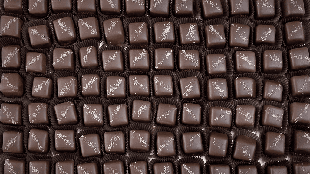 gourmet chocolate covered caramels in a row